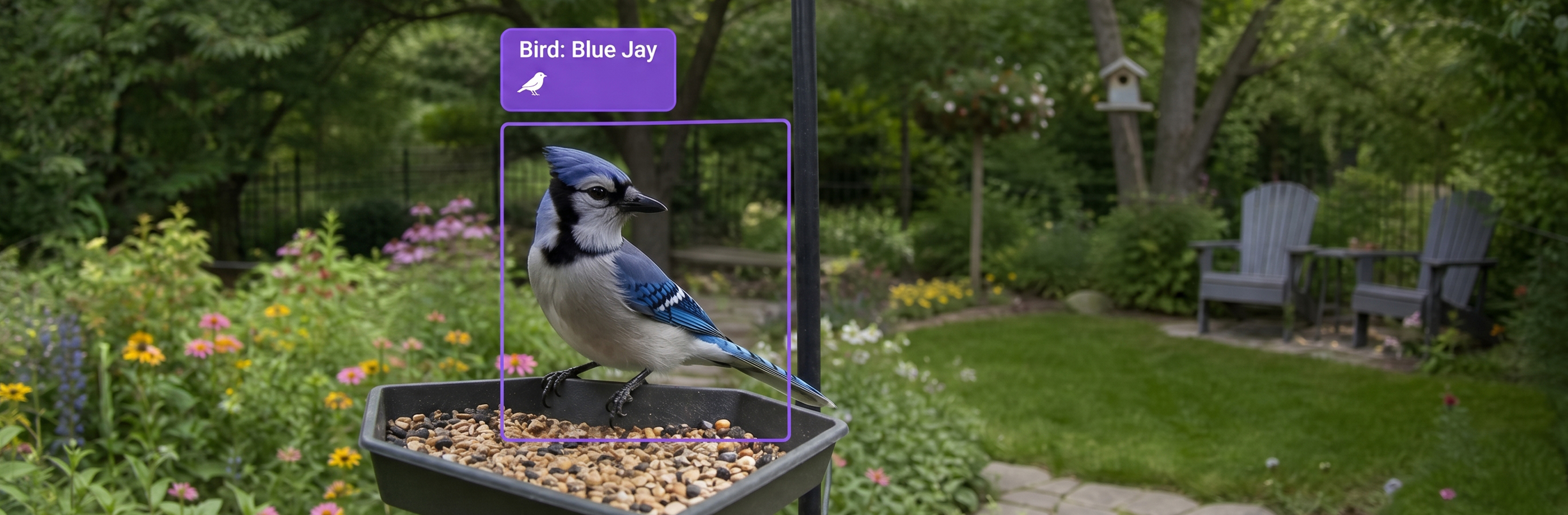 Smart Bird Feeder