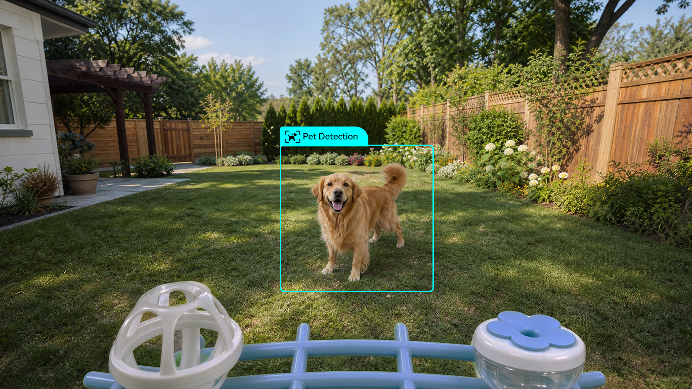 Pet Detection