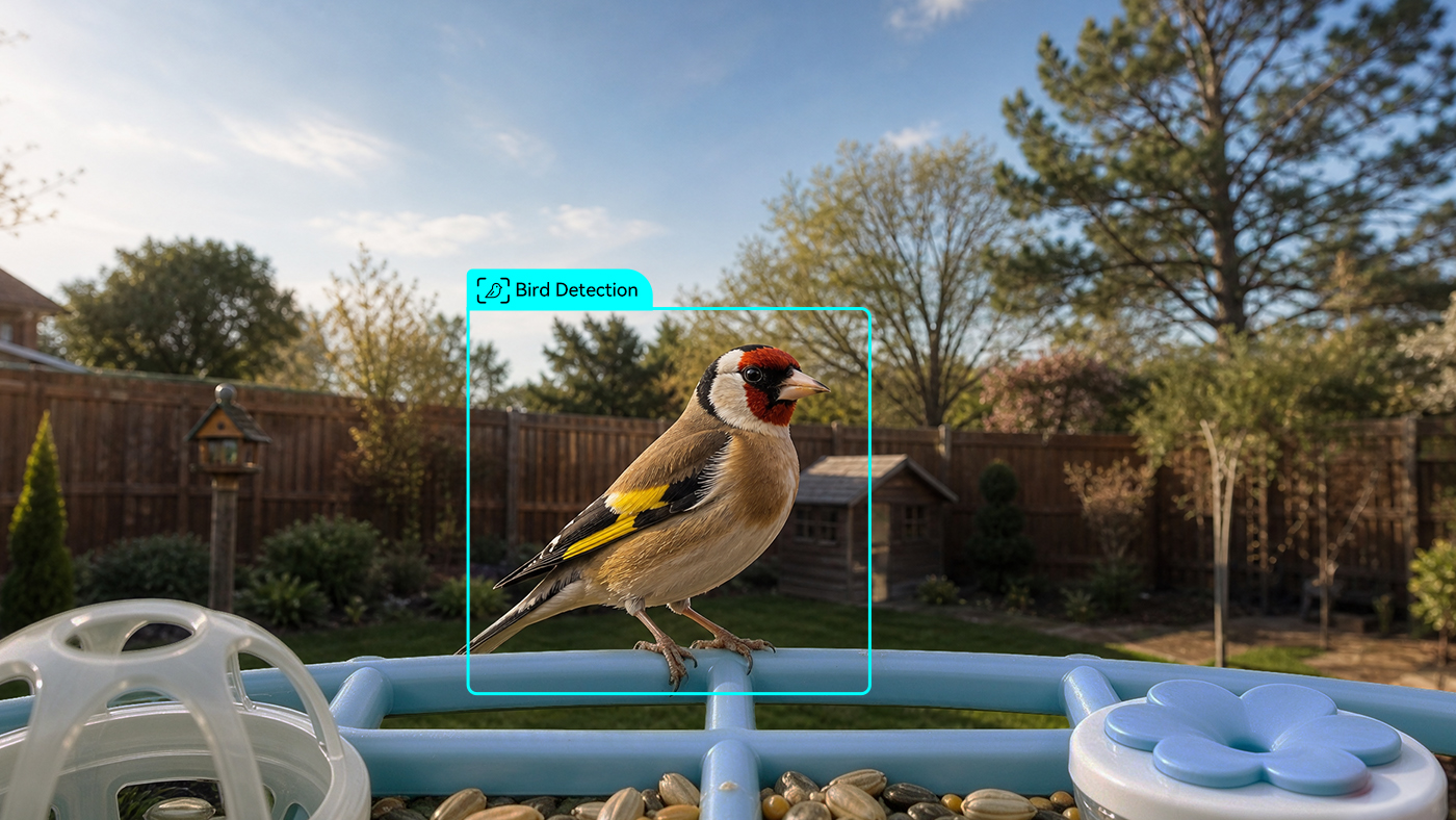 Bird Detection